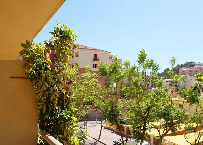 New Apartment In Los Pacos
